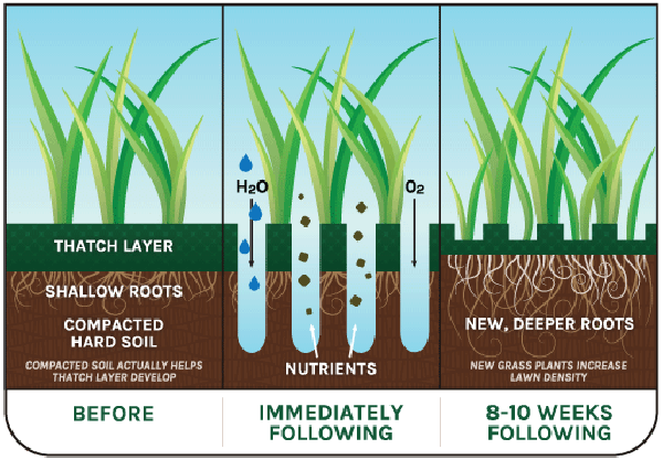 Aeration Poplar Bluff